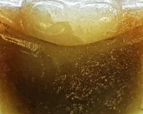 b11