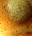 b3