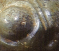 b9